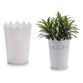 Plant pot White Plastic White