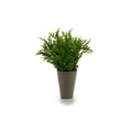 Plant pot 8430852553010 Green Plastic 13 x 25 x 13 cm