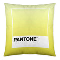 Cushion cover Ombre C Pantone Localization_B086JQZYZH Reversible (50 x 50 cm)