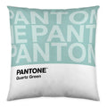 Cushion cover Two Colours Pantone Localization-B086JPZ8ML Reversible (50 x 50 cm)