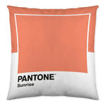 Cushion cover Wide C Pantone Localization-B086JPW2VB Reversible (50 x 50 cm)