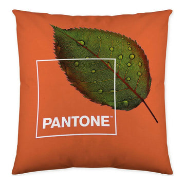 Cushion cover Nature Pantone Reversible (50 x 50 cm)