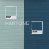 Trapunta Two Colours Pantone