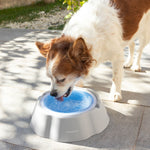 Cooling Pet Water Bowl Freshty InnovaGoods