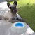 Cooling Pet Water Bowl Freshty InnovaGoods