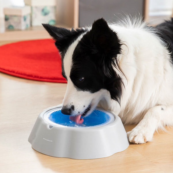 Cooling Pet Water Bowl Freshty InnovaGoods