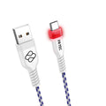 Câble USB A vers USB C FR-TEC FT0030 Blanc 3 m