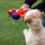 Dog toy Spiderman Red