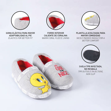 House Slippers Looney Tunes
