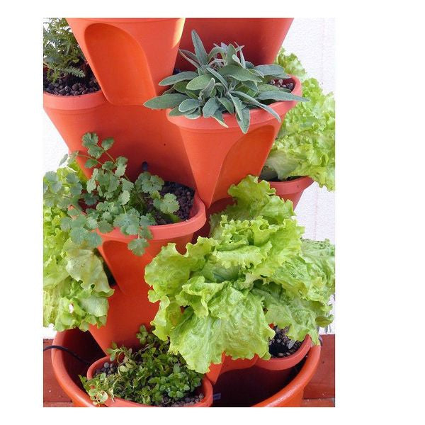 Hydroponic Growing Kit Irisana Ecogarden EG10 Plastic Terracotta