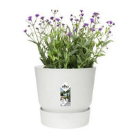 Pot de fleur avec assiette Elho Greenville Ø 39 x 36,8 cm Rond Blanc Plastique