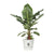 Plant pot with Dish Elho Greenville Ø 39 x 36,8 cm Circular White Plastic