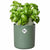 Plant pot Elho Bouncy Basil  Circular Green Plastic Ø 16 cm
