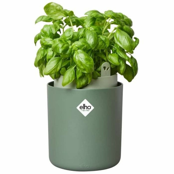 Plant pot Elho Bouncy Basil  Circular Green Plastic Ø 16 cm