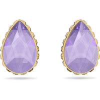 Ladies' Earrings Swarovski  5641405