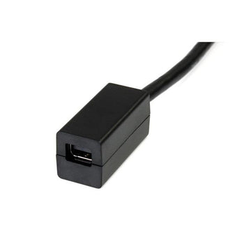 Mini DisplayPort to DisplayPort Adapter Startech DP2MDPMF6IN          4K Ultra HD Black