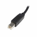 USB A to USB B Cable Startech USB2HAB50CM          Black