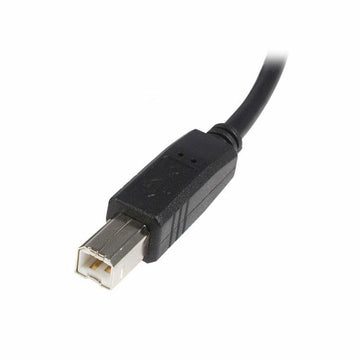 Cavo USB A con USB B Startech USB2HAB5M            Nero