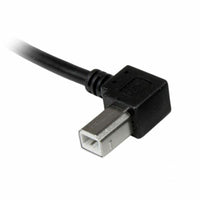 Kabel USB A v USB B Startech USBAB2ML             Črna