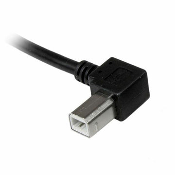 Cavo USB A con USB B Startech USBAB2ML             Nero