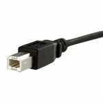 USB-Kabel Startech USBPNLBFBM1          USB B Schwarz