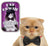 Bow Tie For Cats in Collectible Tin