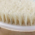 Brush Dry Skin (Refurbished A+)