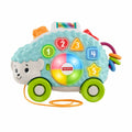 Interactive Toy for Babies Fisher Price GJB06 Fluffy toy (Refurbished A)