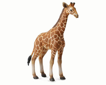 CollectA Wildlife Collection Miniature Figure § Reticulated Giraffe Calf