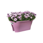 ELHO Balcony planter Corsica Flower Bridge 60 - Bright purple - Outdoor & Balcony - L 29.6 x W 58 x H 24 cm