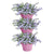 Corsica Foret Vertical 24 Set/3 violet vif