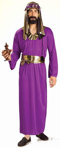Biblical Times Wise Man Costume Adult Men Standard