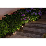 GALIX Guirlande 10 LED a énergie solaire a planter - 5m