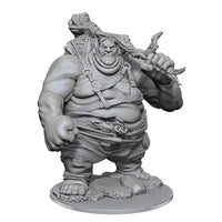 D&D Nolzurs Marvelous Unpainted Miniatures § Hill Giant