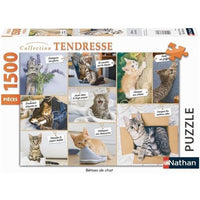 Puzzle N 1500 p - Betises de chat