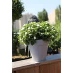 RIVIERA Pot Soleilla rond - 40 cm - Stone