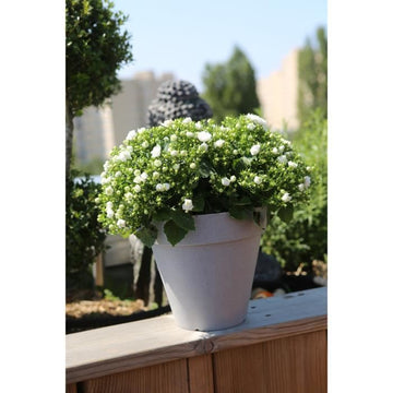 RIVIERA Pot Soleilla rond - 40 cm - Stone