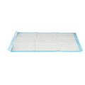 Puppy training pad 60 x 90 cm Blue White Paper Polyethylene (10 Units)