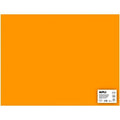 Pappe Apli Orange 50 x 65 cm (25 Stück)