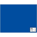 Papiers carton Apli Bleu foncé 50 x 65 cm (25 Unités)