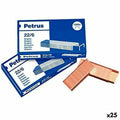 Agrafes Petrus 22/6 6 mm (25 Unités)