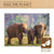 Puzzle Colorbaby Elephant 500 Pieces 6 Units 61 x 46 x 0,1 cm