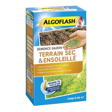 ALGOFLASH - Grass sunny dry land 1kg