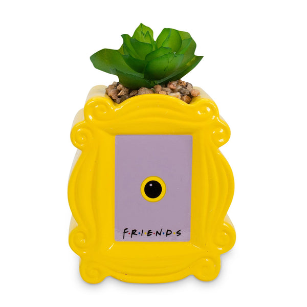 Friends Peephole Frame 3-Inch Ceramic Mini Planter with Artificial Succulent