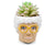 The Golden Girls Sophia Face Mini Ceramic Planter With Faux Succulent § 3 Inches