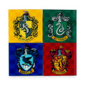 Harry Potter Hogwarts Houses Glass Coasters § Set of 4