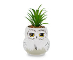 Harry Potter Hedwig 3-Inch Ceramic Mini Planter with Artificial Succulent