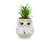 Harry Potter Hedwig 3-Inch Ceramic Mini Planter with Artificial Succulent