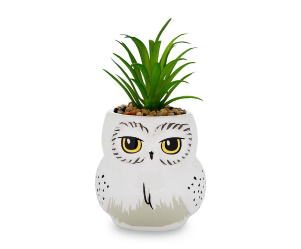 Harry Potter Hedwig 3-Inch Ceramic Mini Planter with Artificial Succulent