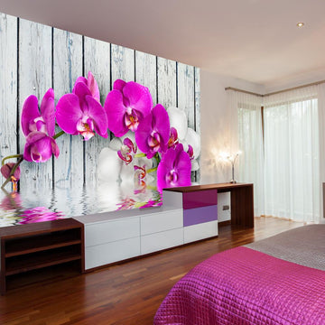 Wallpaper - Violet orchids with water reflexion